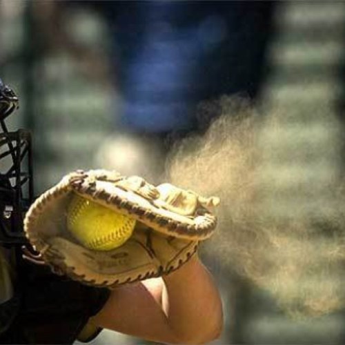 JustCatchin's profile picture. Dm me✌baseball and softball catcher account