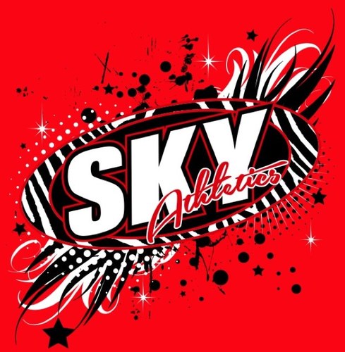 All-Star Cheerleading, Tumbling & Rec Cheer Classes info@skyathletics.ca