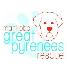 Manitoba Great Pyrenees Rescue is a non profit organization that rehomes Great Pyrenees, and all breeds if space permits, into new loving and responsible homes.