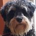 HandsomeEddie (@handsomeeddie1) Twitter profile photo HandsomeEddie (@handsomeeddie1) Twitter profile photo