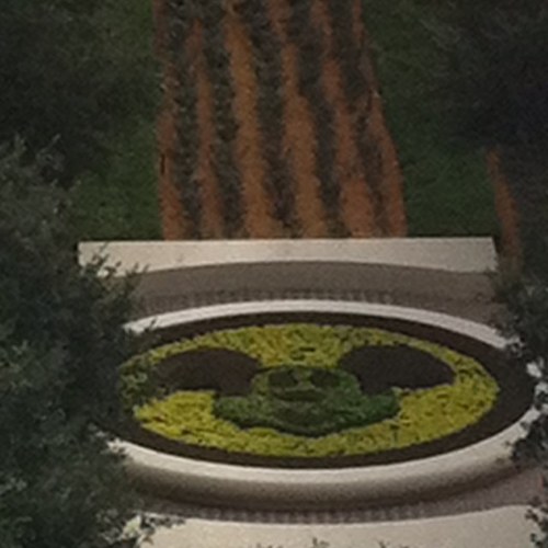 debbie_duvall's profile picture. 