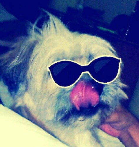 IamVineeta's profile picture. Desi and proud... Finance geek is just a cover-up!