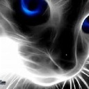 ROBERTO RECCHIA - @roby_thebest84 - Twitter