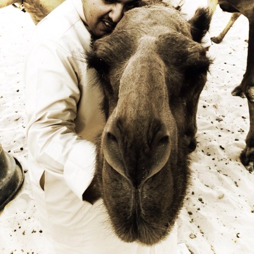 bo_turky2's profile picture. 