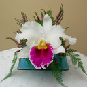 laura barraza sandov - @laurabs_5 - Twitter