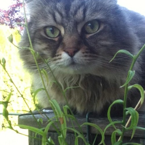 paigeywaigey202's profile picture. I❤TWD! I love to take photos. My family, pets and friends are my life! Riding my horse is so much fun and my #1 hobby. I love to read aswell.