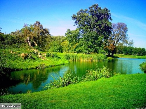 aadel_3816's profile picture. (Hail)