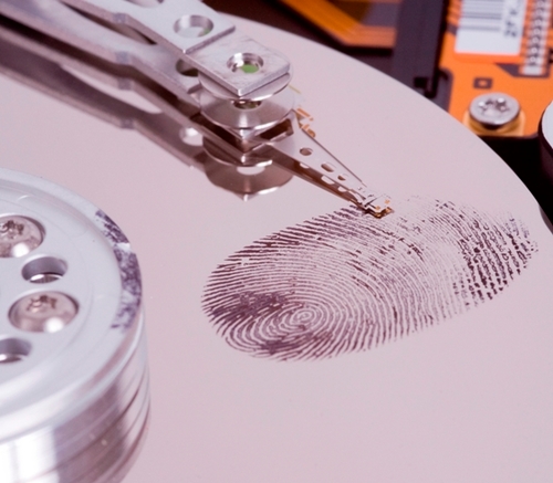 Specializes in Digital Forensics, IT Security & Training.