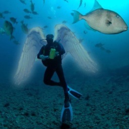 rogermarquesr's profile picture. Venezuelan - Graphic Designer - Aquanaut - Dad of three beautiful kids