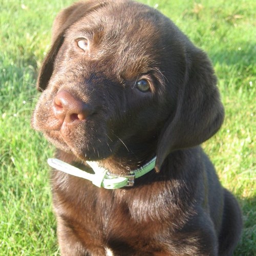 mattconnelly68's profile picture. 