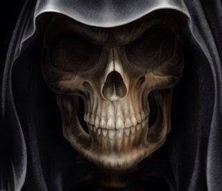 Dillon 🇺🇸💪🏻