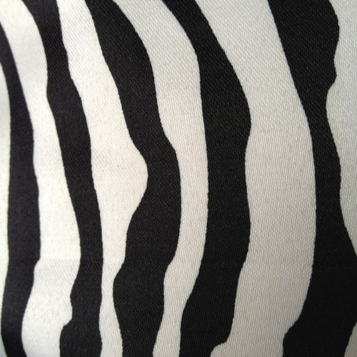 KimmieConstance's profile picture. Dancer, Athlete, Beach Barbie, Happy Camper, Shopper, Tree Hugger, Summer Person & Fisher.
Favorite Singer: Selena Gomez
Favorite Band: ICONA POP