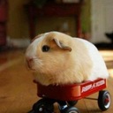 Cale Reid - @CaleCalejack - Twitter