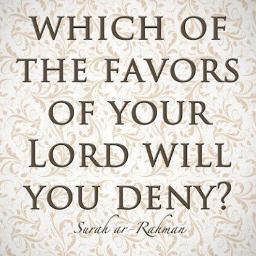 Shegiii's profile picture. Alhamdulillah!