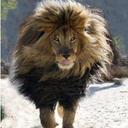 Oscar Ivan Puentes  - @oscarp198 - Twitter