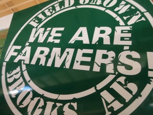 Field Grown Fruits & Veggies. Locally Produced Near Beautiful Brooks, AB