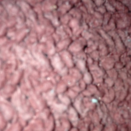 40tex's profile picture. 