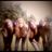 _AnnevanDeursen's profile image