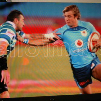 Pro rugby player at zebre in italy
