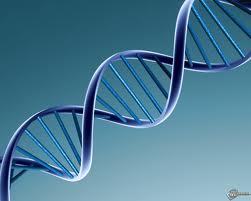 recent and cool scientific news. Health and tech news.  run by Stanford Scientists