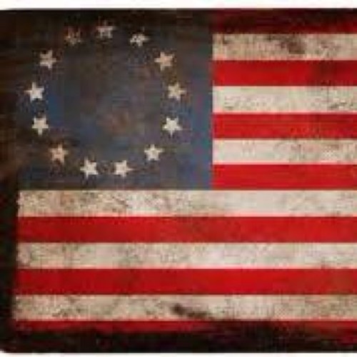 SalvatoriL's profile picture. Freedom is not a free benefit given once and for all. It must be constantly defended and protected   #secondamendment #constitution #liberty