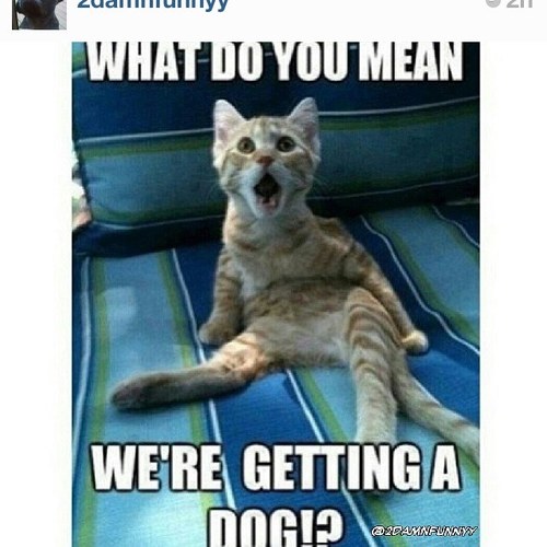 pics_for_from_u's profile picture. I find good pictures from u that everyone will enjoy and retweet them. I also follow who i got it from