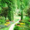 Leo Lutz - @LeoLutz2 - Twitter