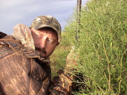 NW_GreenGo's profile picture. DU PacNW Program Director. Native Texan w/ North LA roots. Family man, Squirrel hunter, Birder, Aspiring automotive alchemist