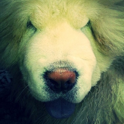 Hi I live in Ukraine in Simferopol,I study in class 9 English know the A+(12) dream to travel to England to live there.