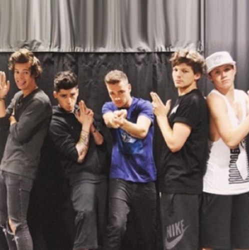 zaynmalik_ily's profile picture. 