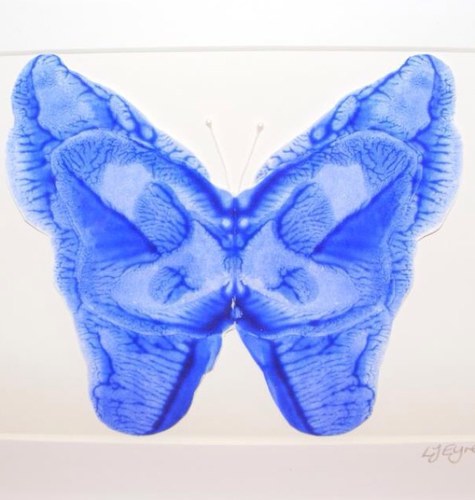 Flutterbies_Art's profile picture. Flutterbies Art and Craft Studio...Bowers Fold...Doncaster Town Centre!