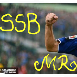 official tweeter account sepak bola sekolah bandung of Miljan Radovic