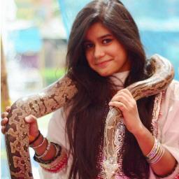 neha_siddiqui's profile picture. creative, darul sukun worker,