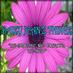 DaizyJeanzThingzSTL (@daizystl) Twitter profile photo
