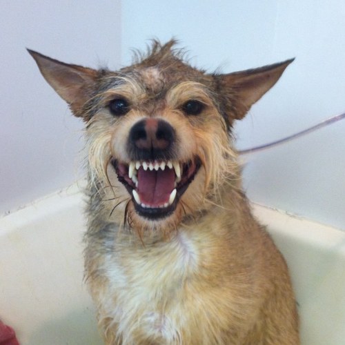 Brandi02895's profile picture. 