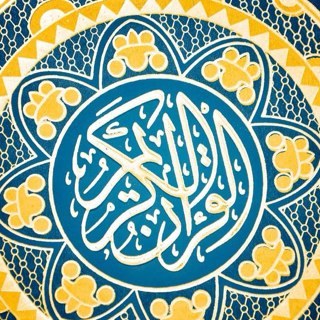 mkkoraki's profile picture. 