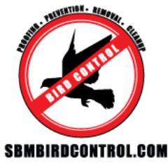 Professional Bird Control Solutions | Bird Spikes | Bird Netting | SBM Bird Control