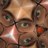 Soflis's profile image
