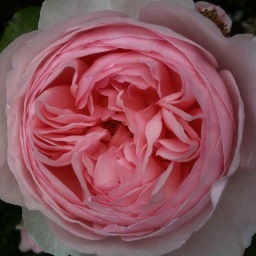 AAHine's profile picture. 