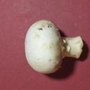 Peter Lewis - @RealPeterLewis - Twitter