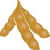 Mississippi Soybean (@msusoybean) Twitter profile photo