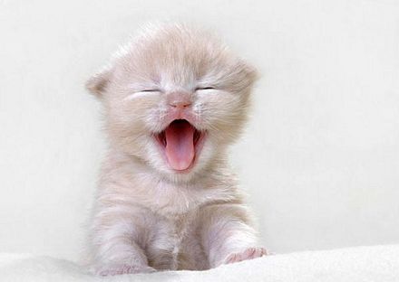 anigraciosilla's profile picture. CARPE DIEM :)