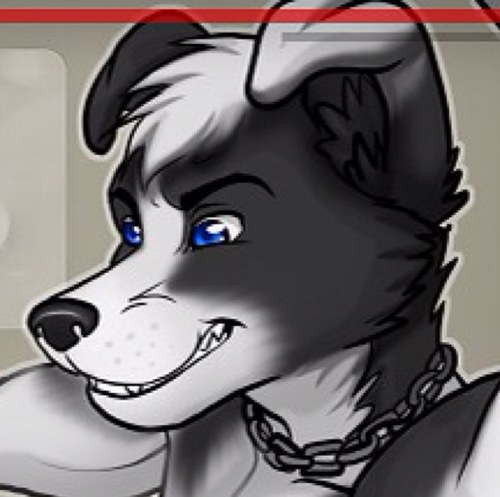 MWWolfen's profile picture. Modern Warfare Master, and also a sexual wolf. #Taken Mate: @Stal_Draimond #wolf #furry #mature (18+)
