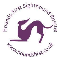 Hounds First Sighthound Rescue, operate throughout the UK.  We rescue and rehome all ages and all types of sighthound Charity 1152540