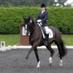 DaisyJacksonDressage (@djdressage) Twitter profile photo DaisyJacksonDressage (@djdressage) Twitter profile photo