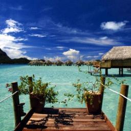 RT my tweets for a free follow