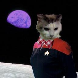 Cheesecake_thec's profile picture. My Hoomin and I love Space, Sci-fi, games, and books. We get a long purrrrfectly. Oh and i'm NOT a real cheese cake. you cannot eat me!!!