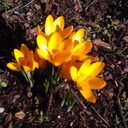 Rachel Wright - @Rliz7 - Twitter