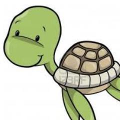 BotOfTurtles's profile picture. Bringing you turtles daily. If you have some pictures of turtles to spare, please send them to botofturtle@yahoo.com