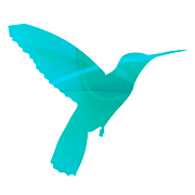 dicagrafic's profile picture. pagina donde encontraras tutoriales de diseño grafico